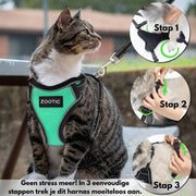 Zootic kattentuigje