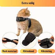 Zootic kattentuigje