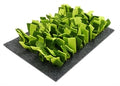 Snuffelmat knaagdieren (groen/zwart)