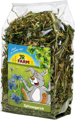 JR WEEGBREE 100G